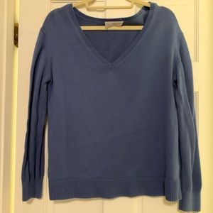Everlane blue cotton v neck sweater